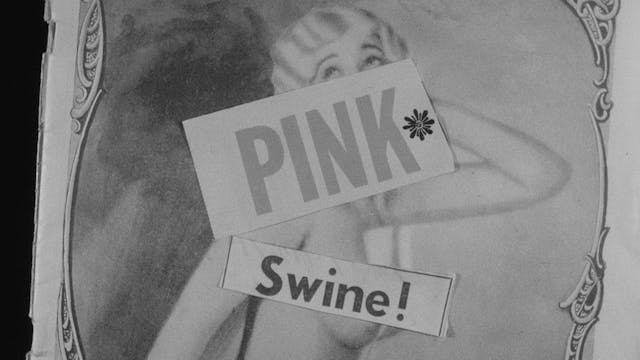 PINK SWINE