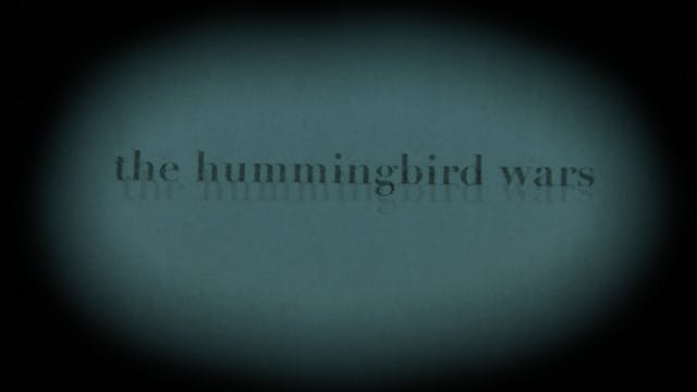 THE HUMMINGBIRD WARS