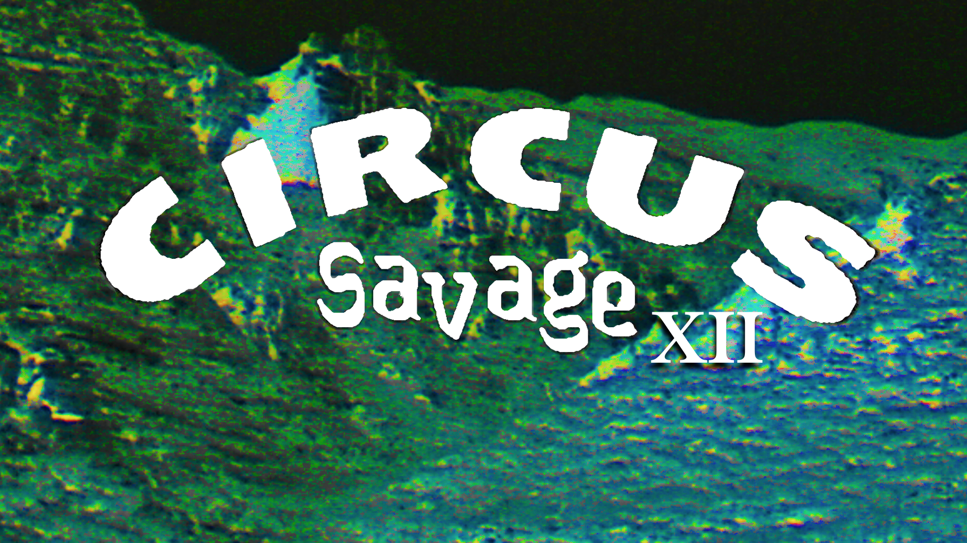 CIRCUS SAVAGE Chapter XII