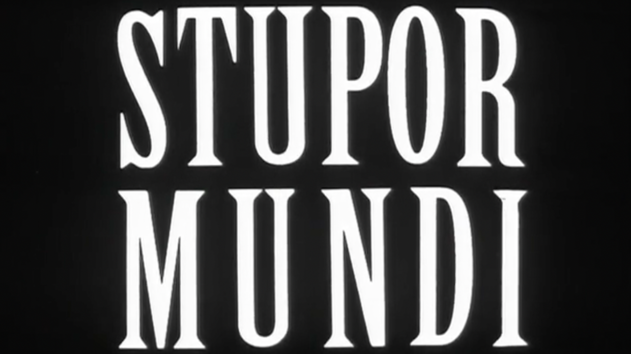 STUPOR MUNDI