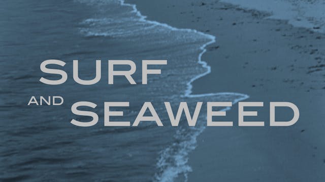 SURF AND SEAWEED