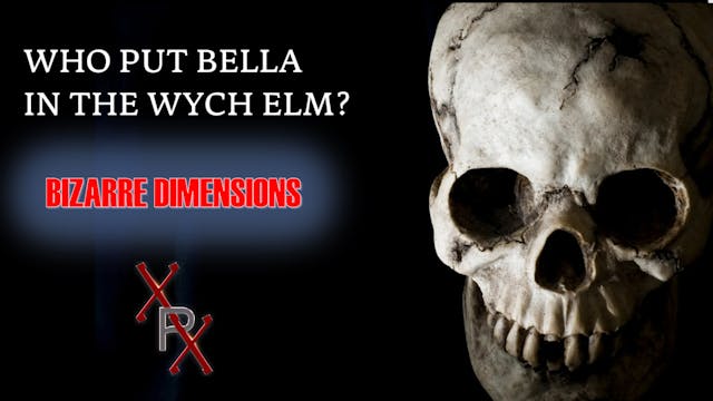 Who Put Bella in the Wych Elm?
