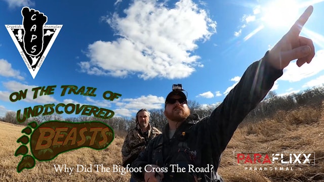 Why Did The Bigfoot Cross The Road?