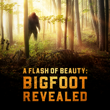 A Flash of Beauty: Bigfoot Revealed