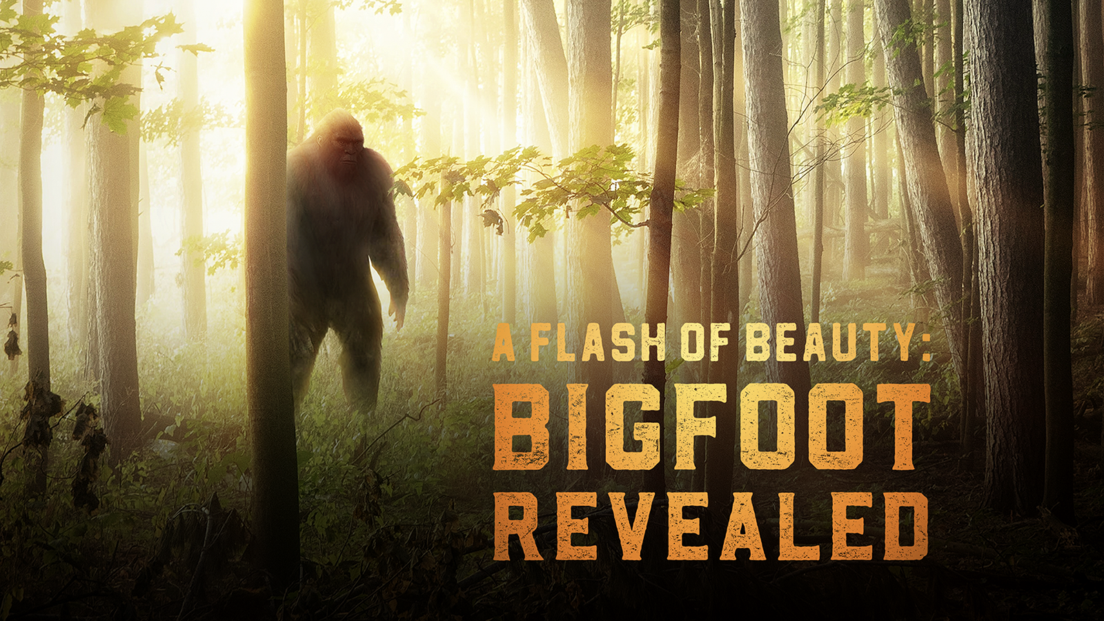 A Flash of Beauty: Bigfoot Revealed