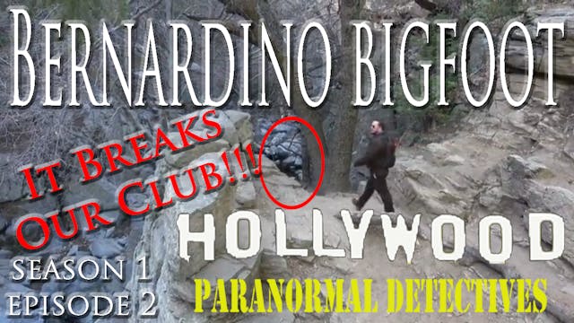 Bernardino Bigfoot