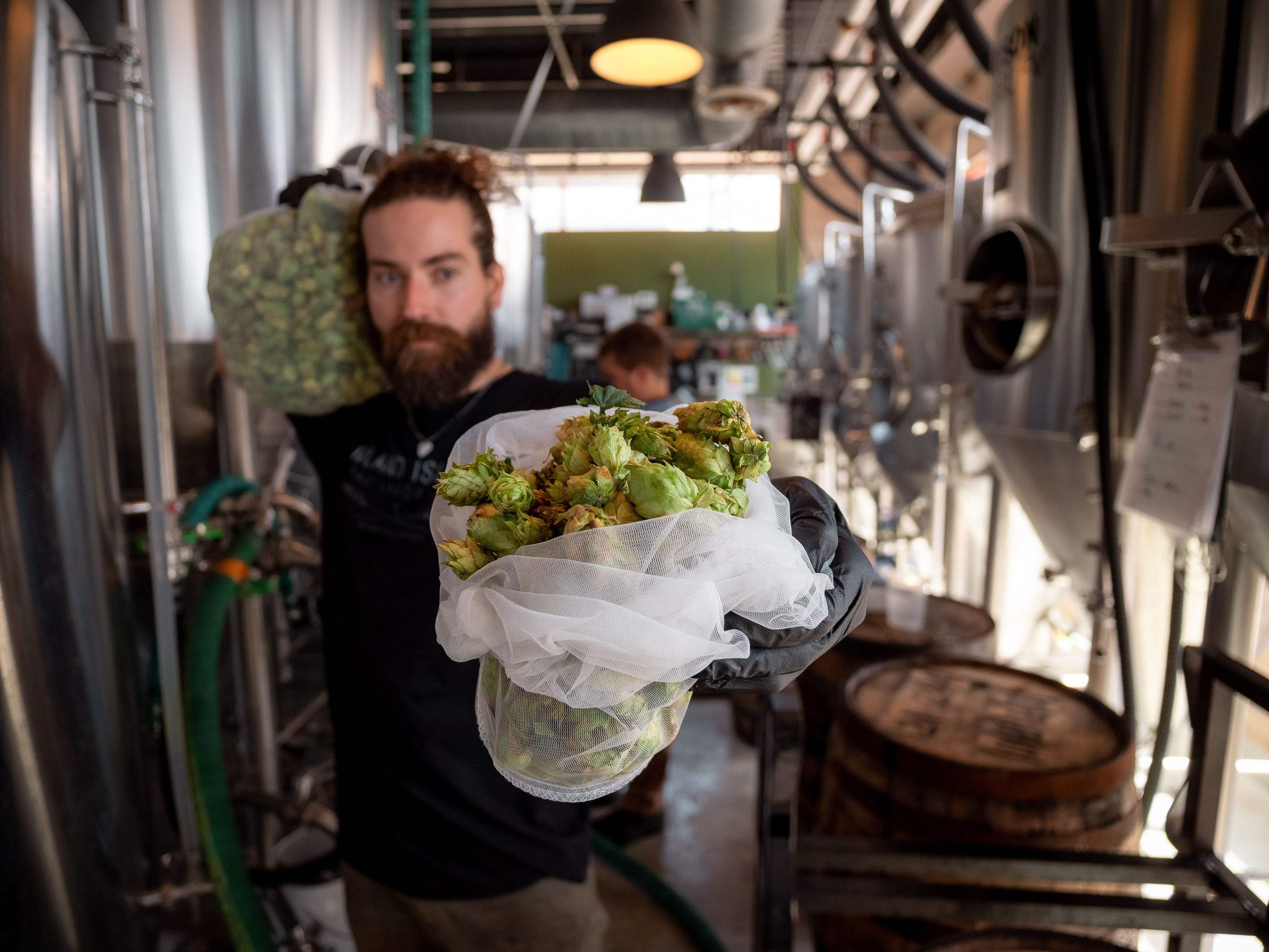 Wet Hop and Barrel Aged