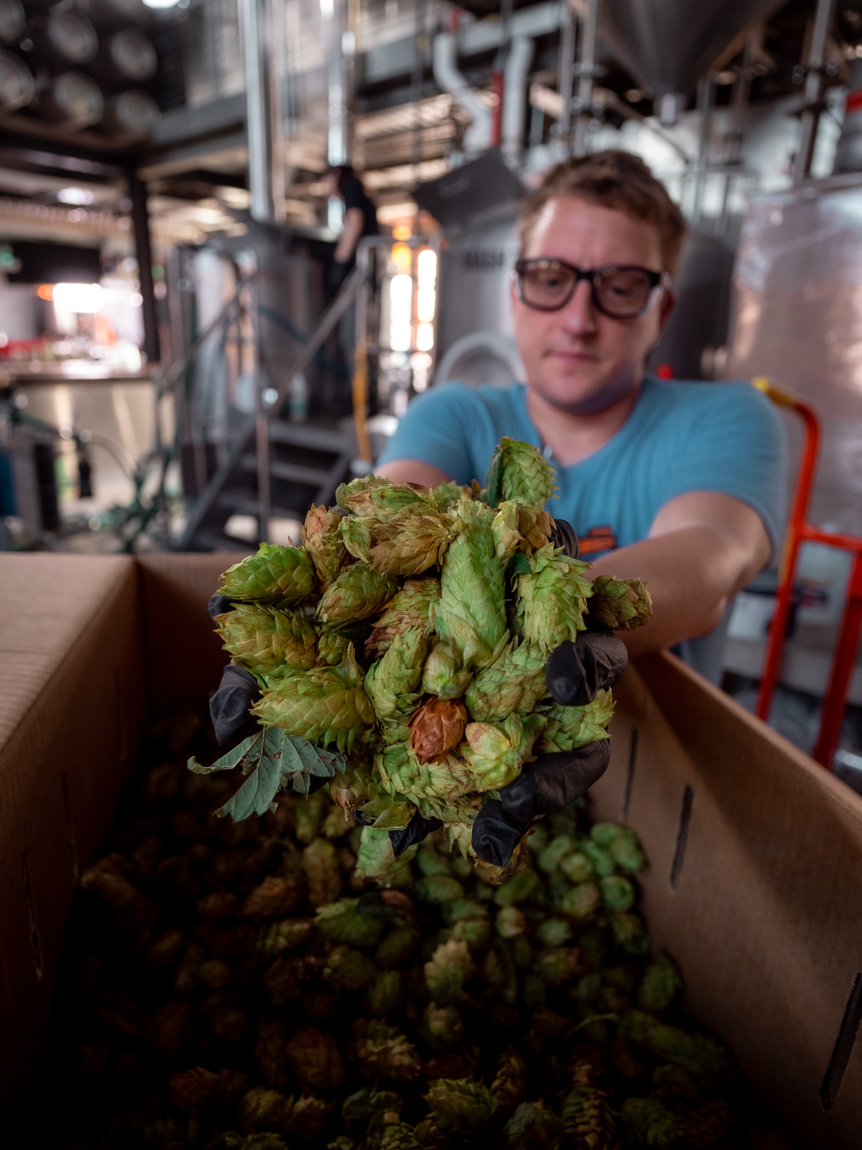 Wet Hop and Barrel Aged