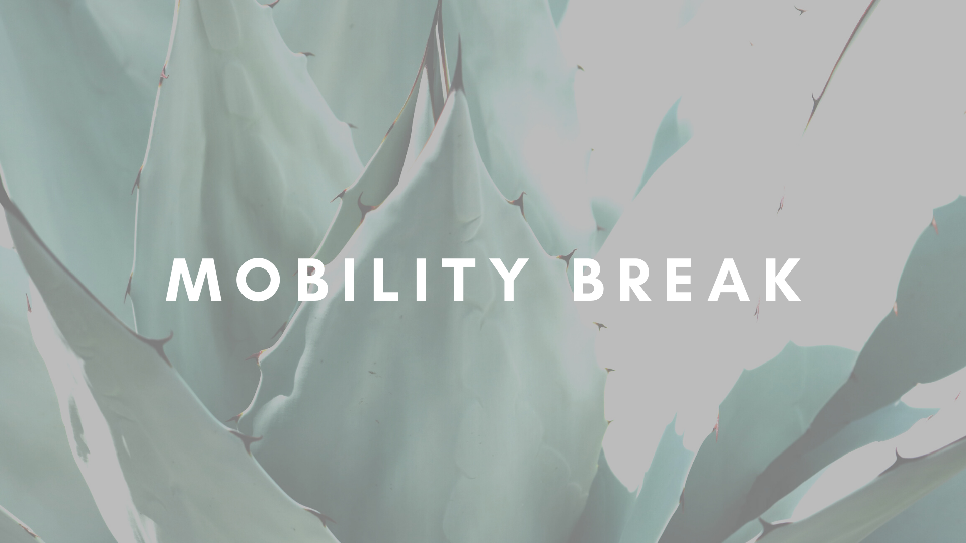 MOBILITY BREAK