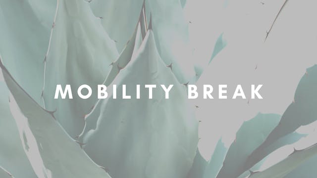 MOBILITY BREAK