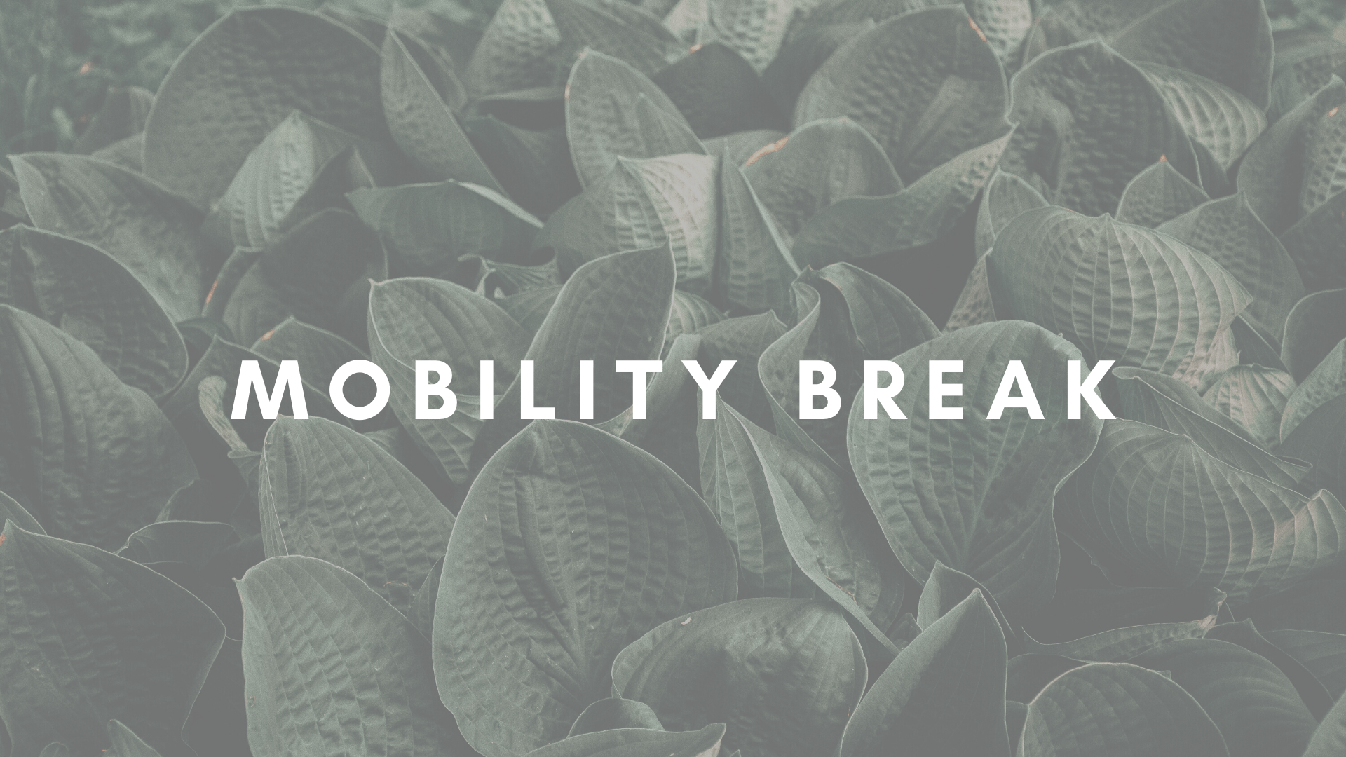 MOBILITY BREAK