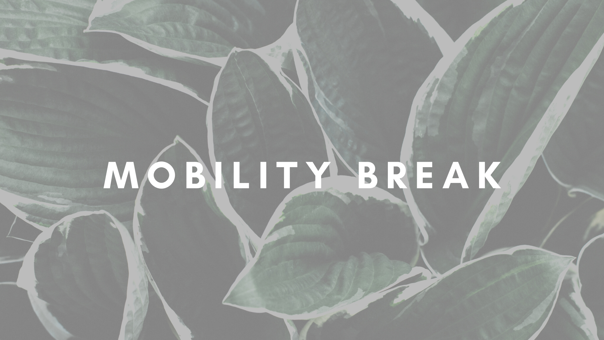 MOBILITY BREAK 