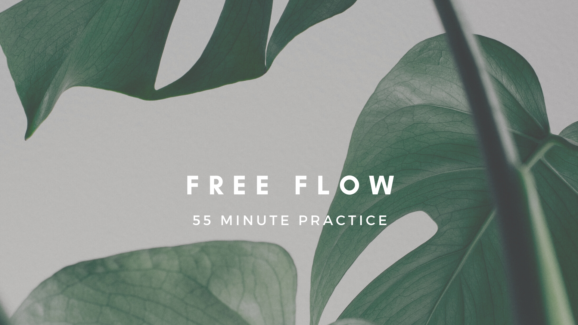 [ YOGA ] FREE FLOW with Mel