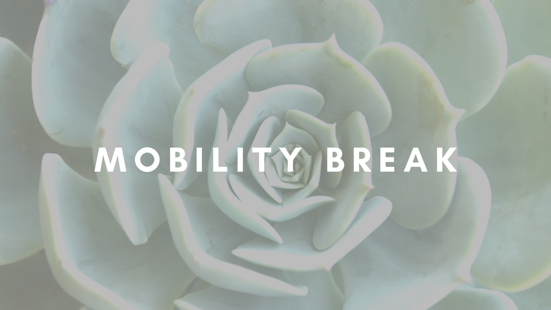 MOBILITY BREAK
