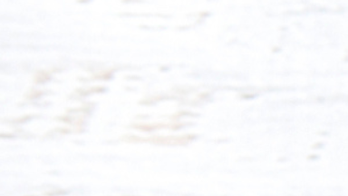 Leg Day with Laken - August 21st, 2024