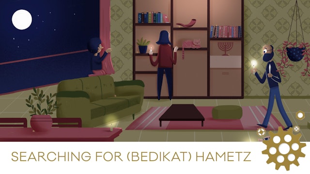 Searching for (Bedikat) Hametz