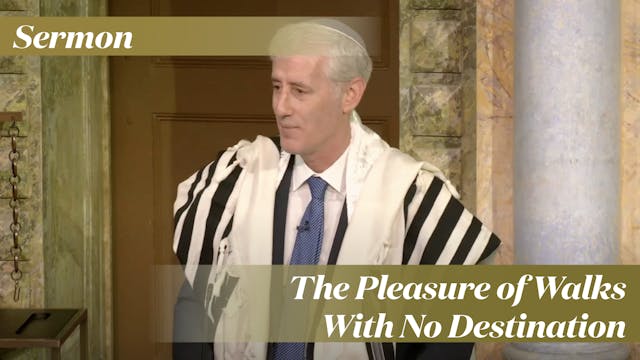 Rabbi Zuckerman: The Pleasure of Walk...