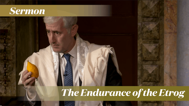 Rabbi Zuckerman: The Endurance of the...