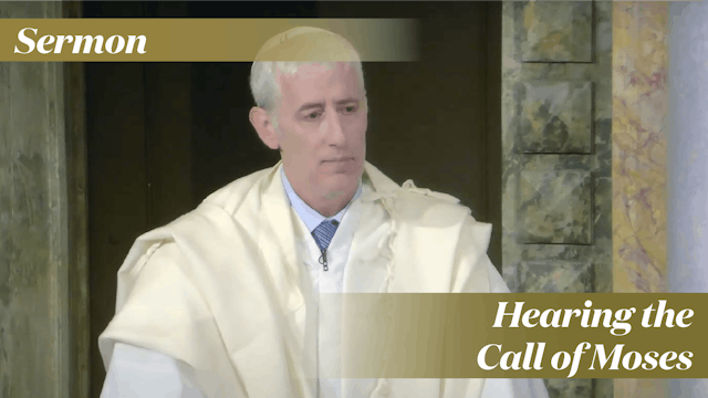 Rabbi Zuckerman: Hearing the Call of ...