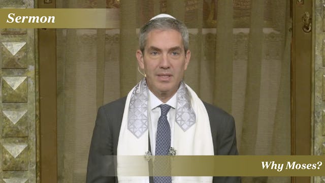 Rabbi Cosgrove: Why Moses? (January 1...
