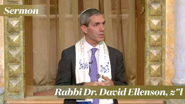 Rabbi Cosgrove: Rabbi Dr. David Ellen...