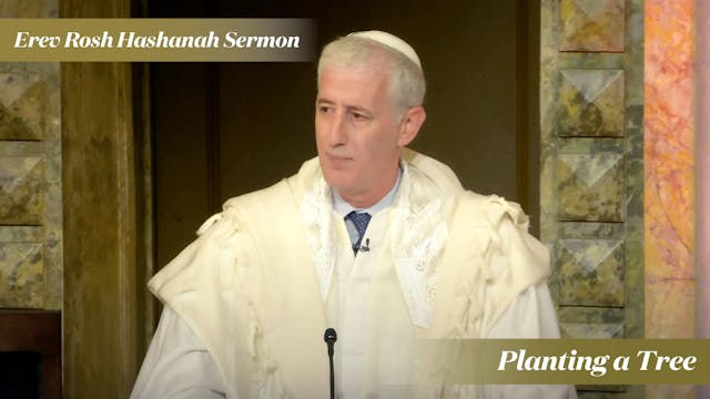 Rabbi Zuckerman: Planting a Tree (Ere...
