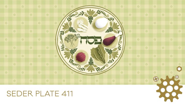 Seder Plate 411