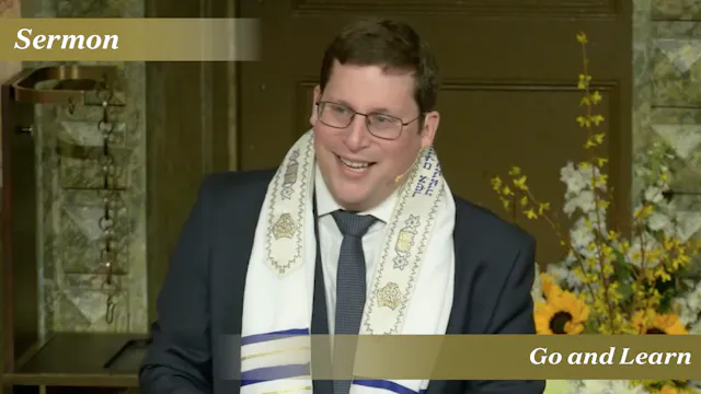Rabbi Pink: Go and Learn (Passover Da...