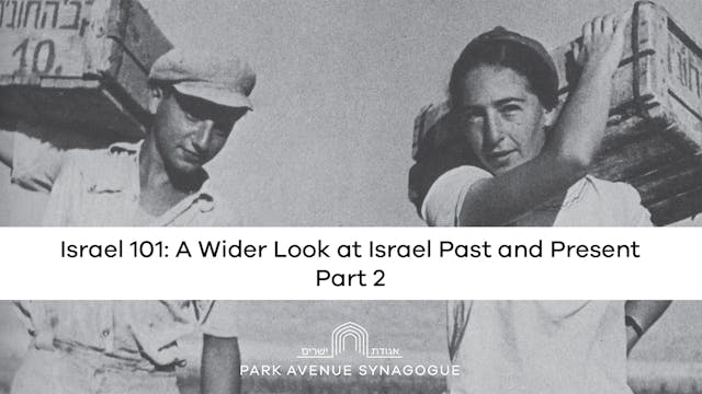 Israel 101: A Wider Look at Israel Pa...