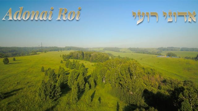 A Psalm for Times of Memory: Adonai R...