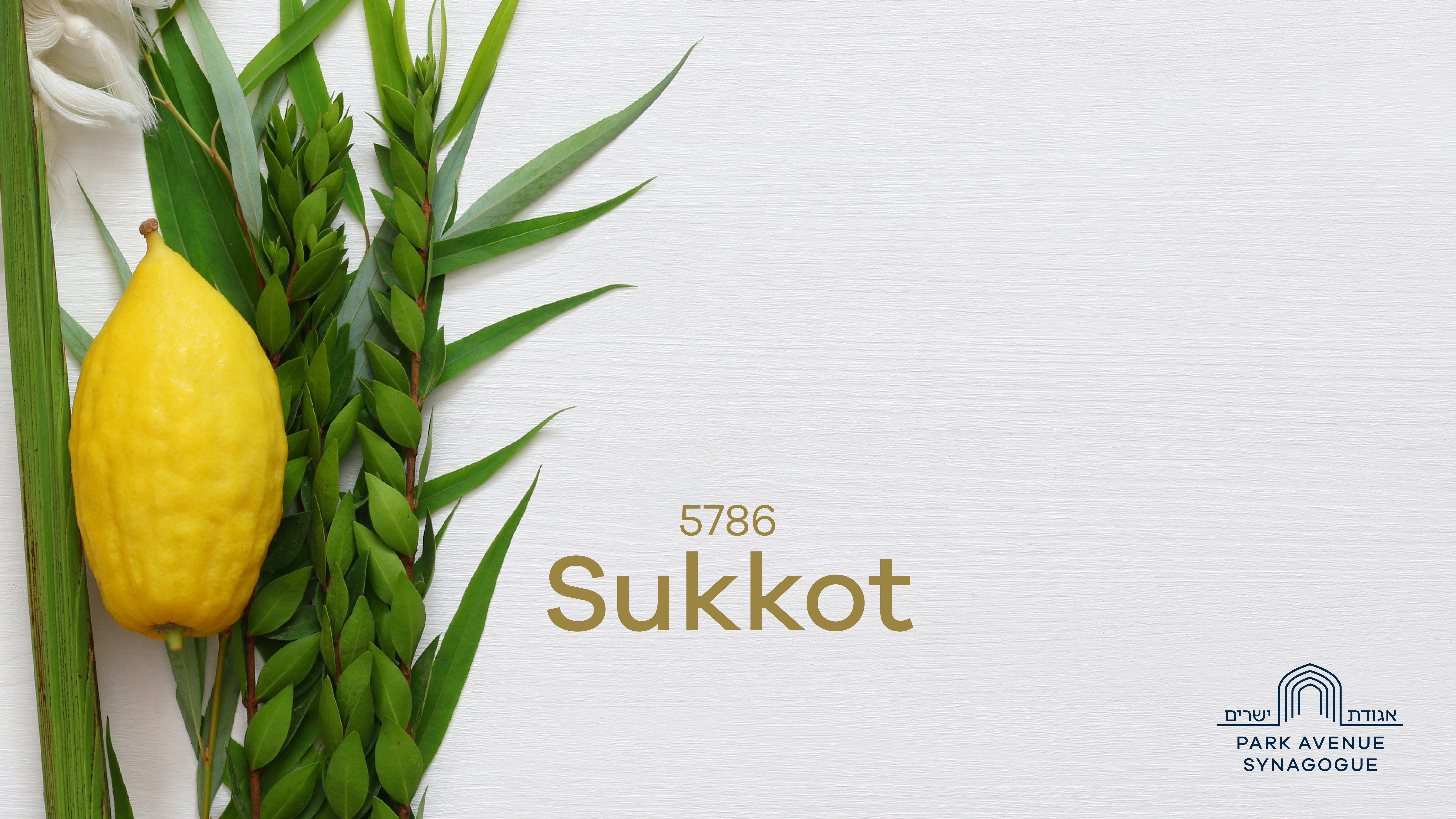 Sukkot Festival Morning Service - 10/07/2025