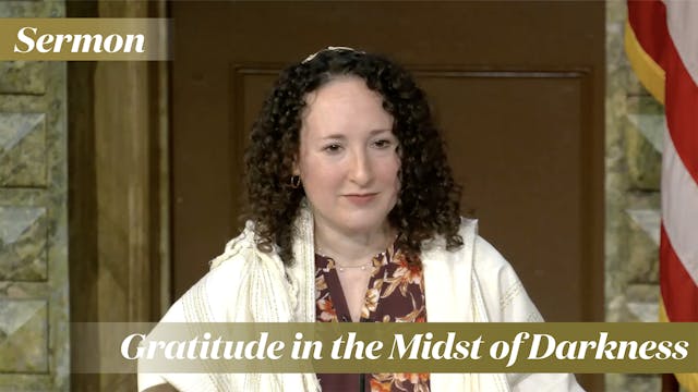 Rabbi Zauzmer: Gratitude in the Midst...
