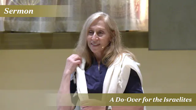 Rabbi Koffman: A Do-Over for the Isra...