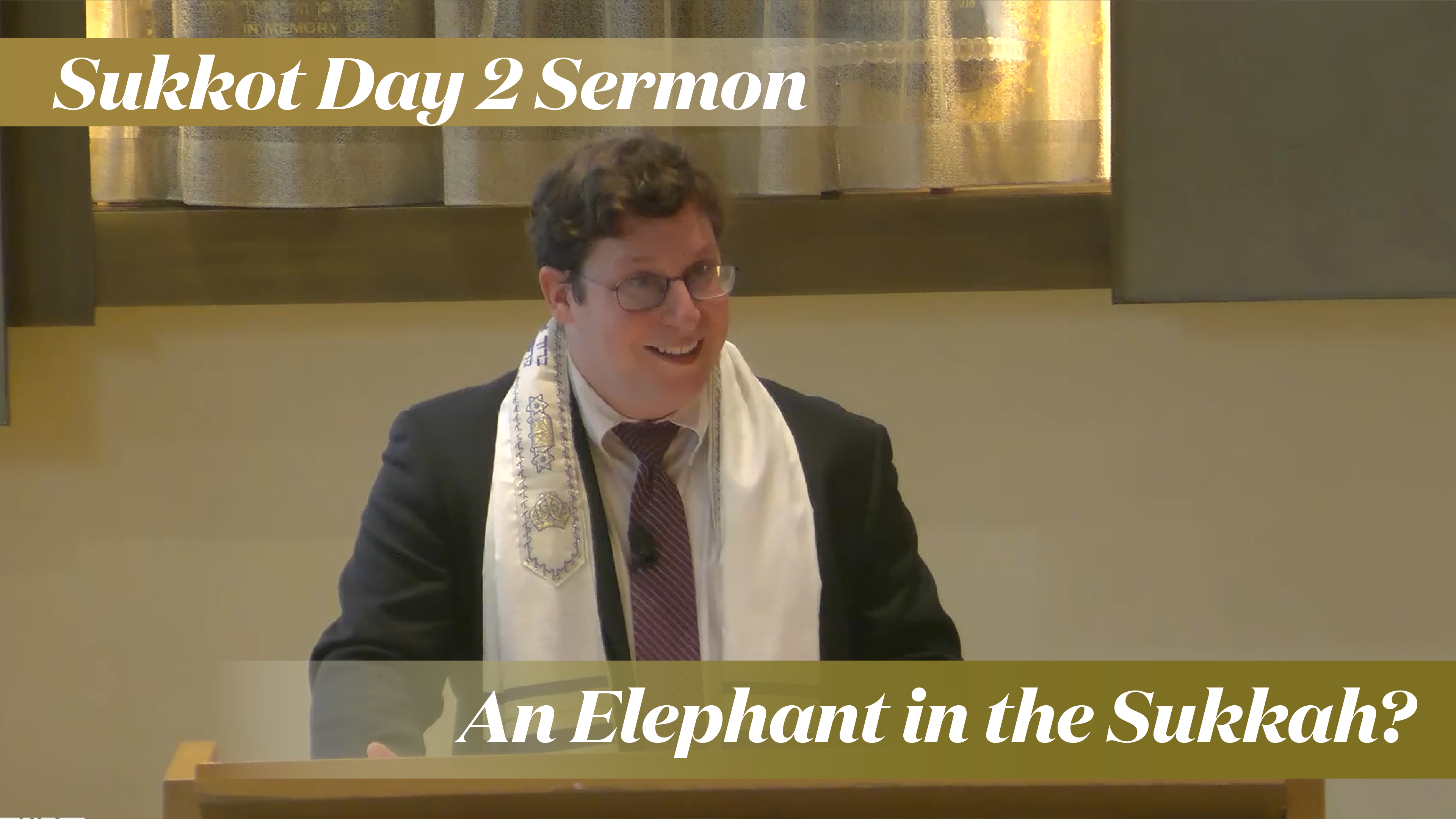 Rabbinic Intern Aiden Pink: An Elephant in the Sukkah? (Sukkot Day 2, 2024)