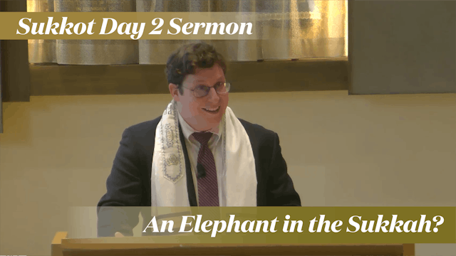 Rabbinic Intern Aiden Pink: An Elepha...