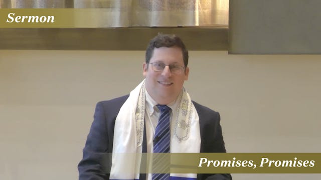Rabbi Pink: Promises, Promises (July ...