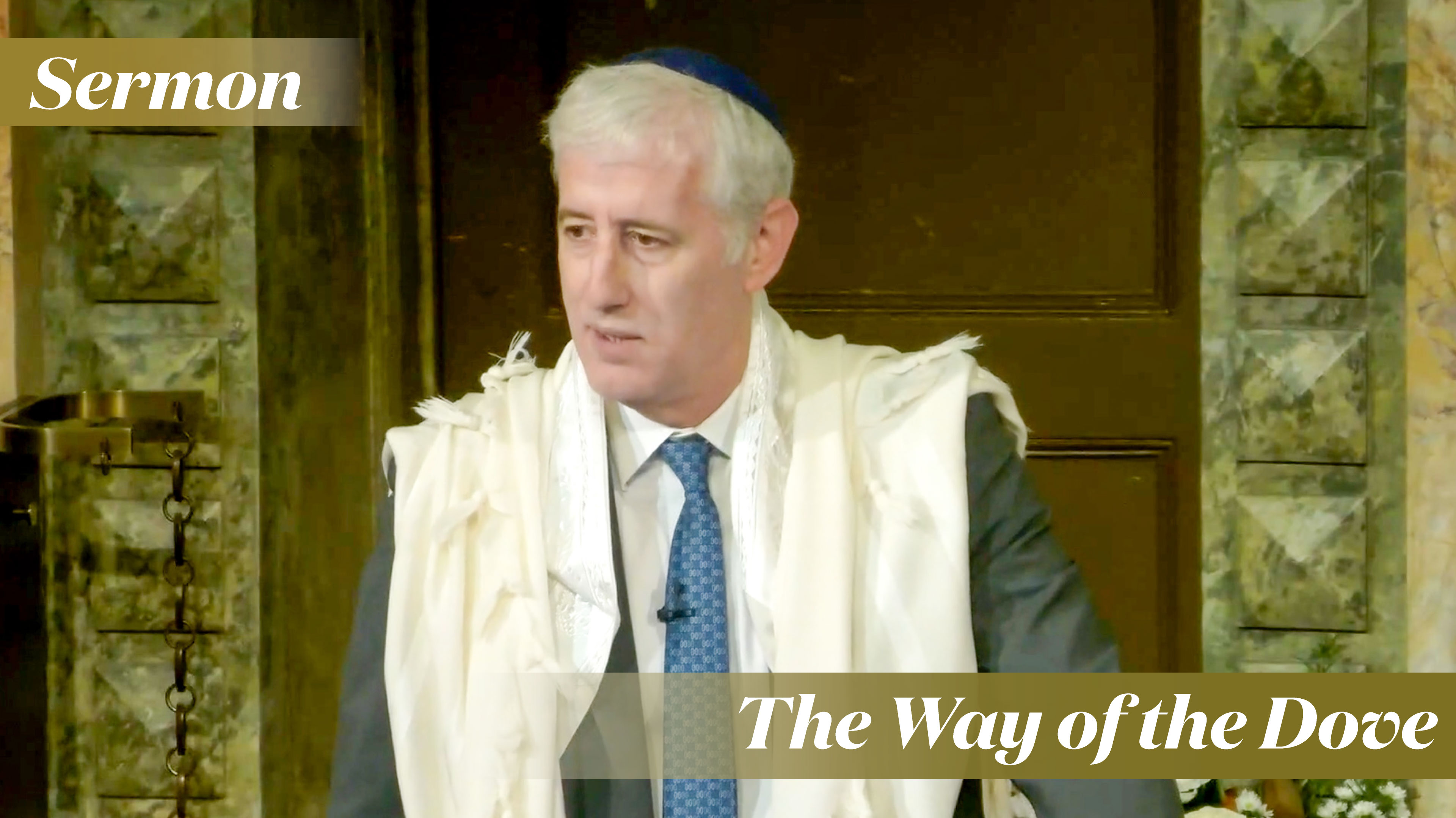 Rabbi Zuckerman: The Way of the Dove (November 2, 2024)
