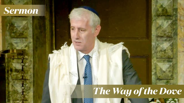 Rabbi Zuckerman: The Way of the Dove ...