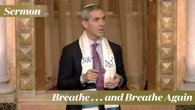 Rabbi Cosgrove: Breathe . . . and Breathe Again (February 10, 2024)