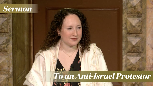 Rabbi Zauzmer: To an Anti-Israel Protestor (May 4, 2024)