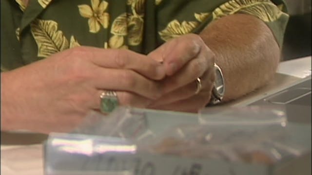 What Is Biblical Archaeology