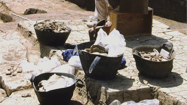 MULTIPLICATION - Israelite Expansion in the Nile Delta