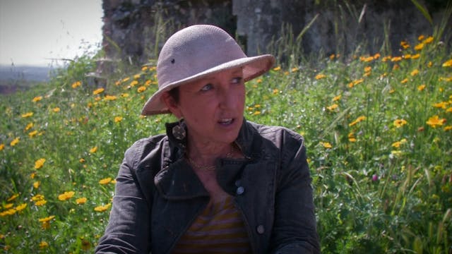 Why Have So Many Archaeologists Abandoned the Bible