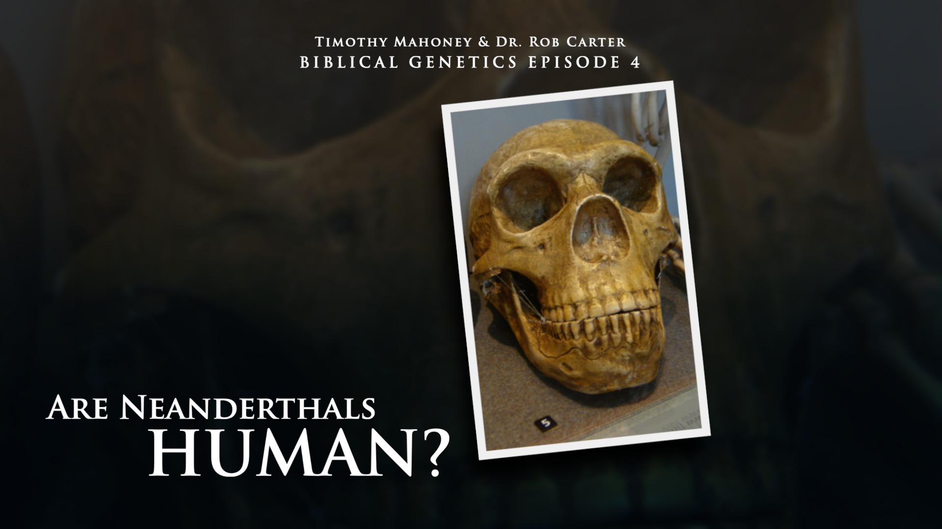 Biblical Genetics Episode 4: Are Neanderthals Human?