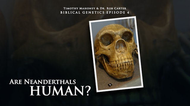 Biblical Genetics Episode 4: Are Neanderthals Human?