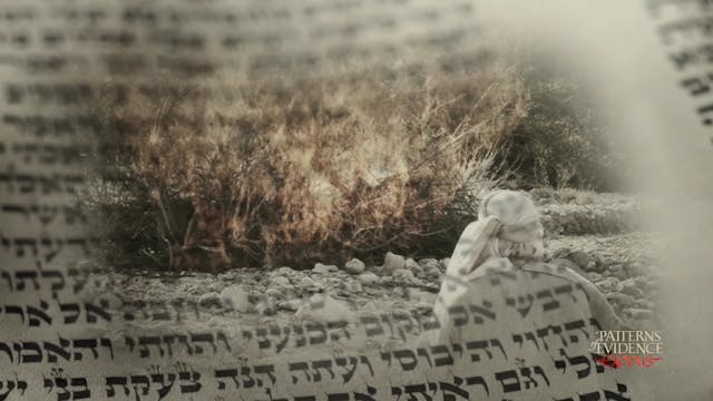 Pastor's Guide to Patterns of Evidence: The Exodus