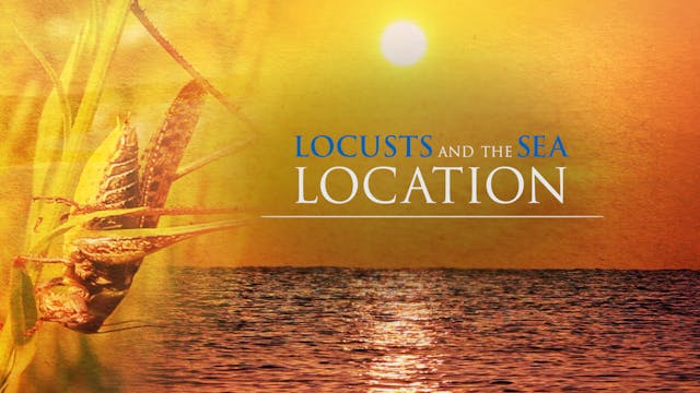 Locusts and the Sea Location