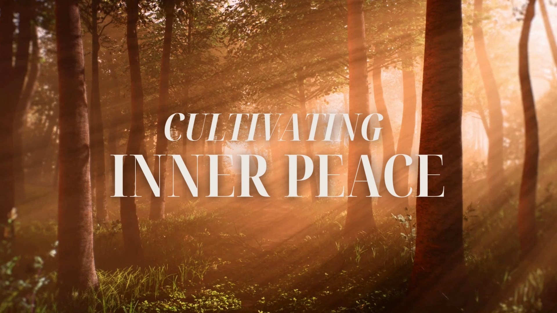 re:set meditations : cultivating inner peace