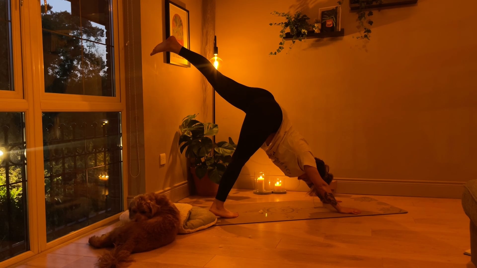 re:set yoga : introduction to yoga