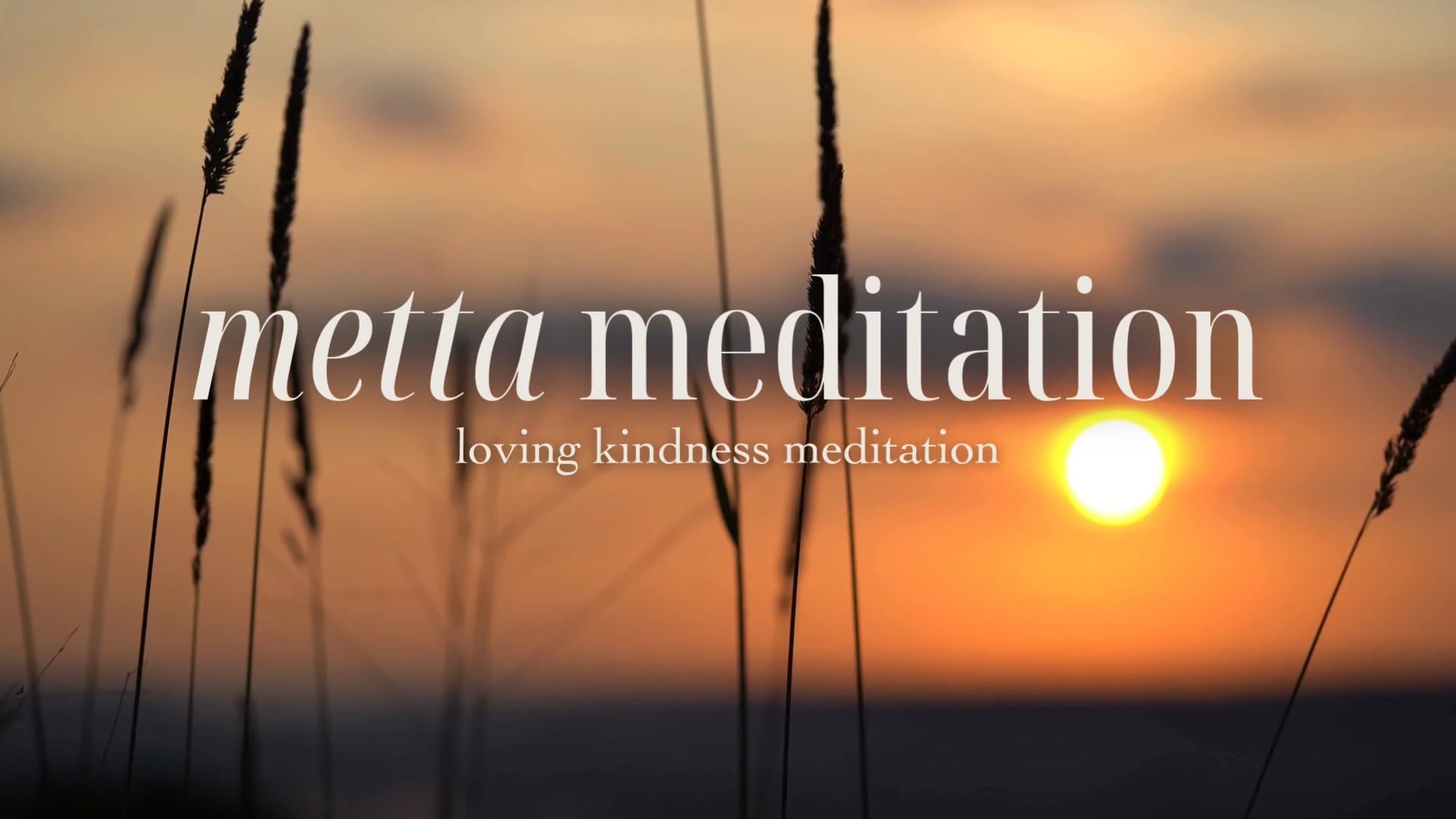 re:set meditations : metta meditation/loving kindness meditation
